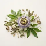 Passionflower